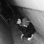 Ryo Yokoyama Instagram – テーマは「お前そんなとこいたら化けの皮のストックにされるぞ」です。(嘘）
写真集、こんな感じでちょっといかつい？感じの写真も入れちゃいました。
3月20日発売予定になります。
よろしくお願い致します。
#ワニブックス
#横山涼
#写真集
#りょう
#横浜