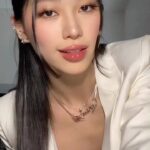 Ryu Won Instagram - 🦢