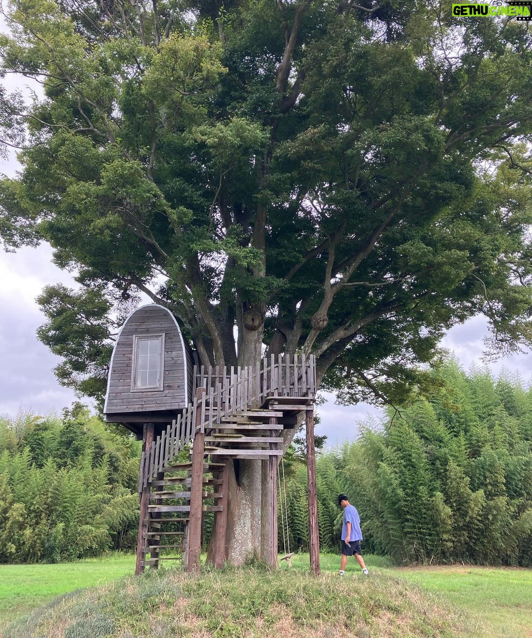 SANTAWORLDVIEW Instagram - Still Summer In Japan🇯🇵🌿🌲