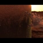 SANTAWORLDVIEW Instagram - 最高すぎる。 2001年宇宙の旅をMVでサンプリング出来たの嬉しかった。 演技って難しいよなぁ。段々とカメラに緊張はしなくなってきたぜ。 次のMVも観たい奴はコメントしてくれよな🙉🙈🙊❤️ @ole_takeru_shibuya 今回もありがとうございました🔥