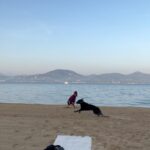Sára Milfajtová Instagram - Shaun the sheep:)) #shaunthesheep #shauntheflat #flatcoatedretriever #retriever #beach