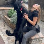 Sára Milfajtová Instagram - Happy dog in France #flatcoatedretriever #retriever #love #dogslover #doglover