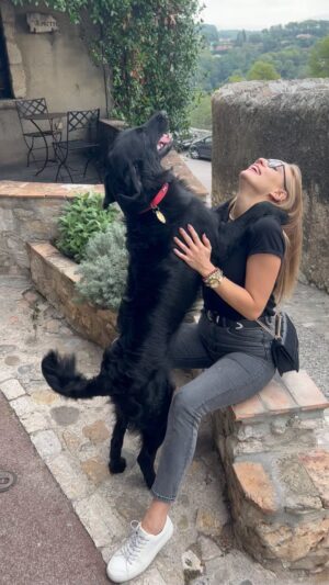 Sára Milfajtová Instagram - Happy dog in France #flatcoatedretriever #retriever #love #dogslover #doglover