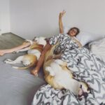 Sára Milfajtová Instagram - Mornings like: #doglover ♥️