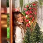 Sónia Araújo Instagram - Está aberta a Pré época de Natal 🎄✨ Sempre a abrir, especiais de Natal, Galas , compras para fazer, reunir a família… Quem mais adora esta época? 🙋🏻‍♀️😅