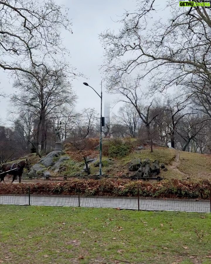 Sónia Araújo Instagram - Central Park, NYC 🥰 Very typical Já a regressar, mas como ainda tenho muitas fotos , vão ter a maçada de ainda levar com muitas pics 📸 de NYC Que sorte poder usufruir e proporcionar estes momentos à minha família! E a minha mãe faz anos hoje!!!!! 🎂 Central Park, New York City