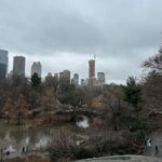 Sónia Araújo Instagram - Central Park, NYC 🥰 Very typical Já a regressar, mas como ainda tenho muitas fotos , vão ter a maçada de ainda levar com muitas pics 📸 de NYC Que sorte poder usufruir e proporcionar estes momentos à minha família! E a minha mãe faz anos hoje!!!!! 🎂 Central Park, New York City
