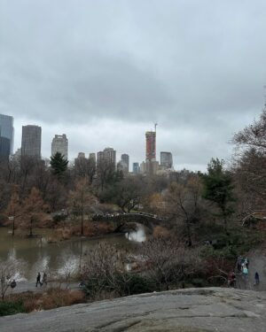Sónia Araújo Instagram - Central Park, NYC 🥰
Very typical 
Já a regressar, mas como ainda tenho muitas fotos , vão ter a maçada de ainda levar com muitas pics 📸 de NYC 
Que sorte poder usufruir e proporcionar estes momentos à minha família!
E a minha mãe faz anos hoje!!!!! 🎂