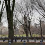 Sónia Araújo Instagram - Central Park, NYC 🥰 Very typical Já a regressar, mas como ainda tenho muitas fotos , vão ter a maçada de ainda levar com muitas pics 📸 de NYC Que sorte poder usufruir e proporcionar estes momentos à minha família! E a minha mãe faz anos hoje!!!!! 🎂 Central Park, New York City
