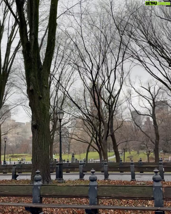 Sónia Araújo Instagram - Central Park, NYC 🥰 Very typical Já a regressar, mas como ainda tenho muitas fotos , vão ter a maçada de ainda levar com muitas pics 📸 de NYC Que sorte poder usufruir e proporcionar estes momentos à minha família! E a minha mãe faz anos hoje!!!!! 🎂 Central Park, New York City