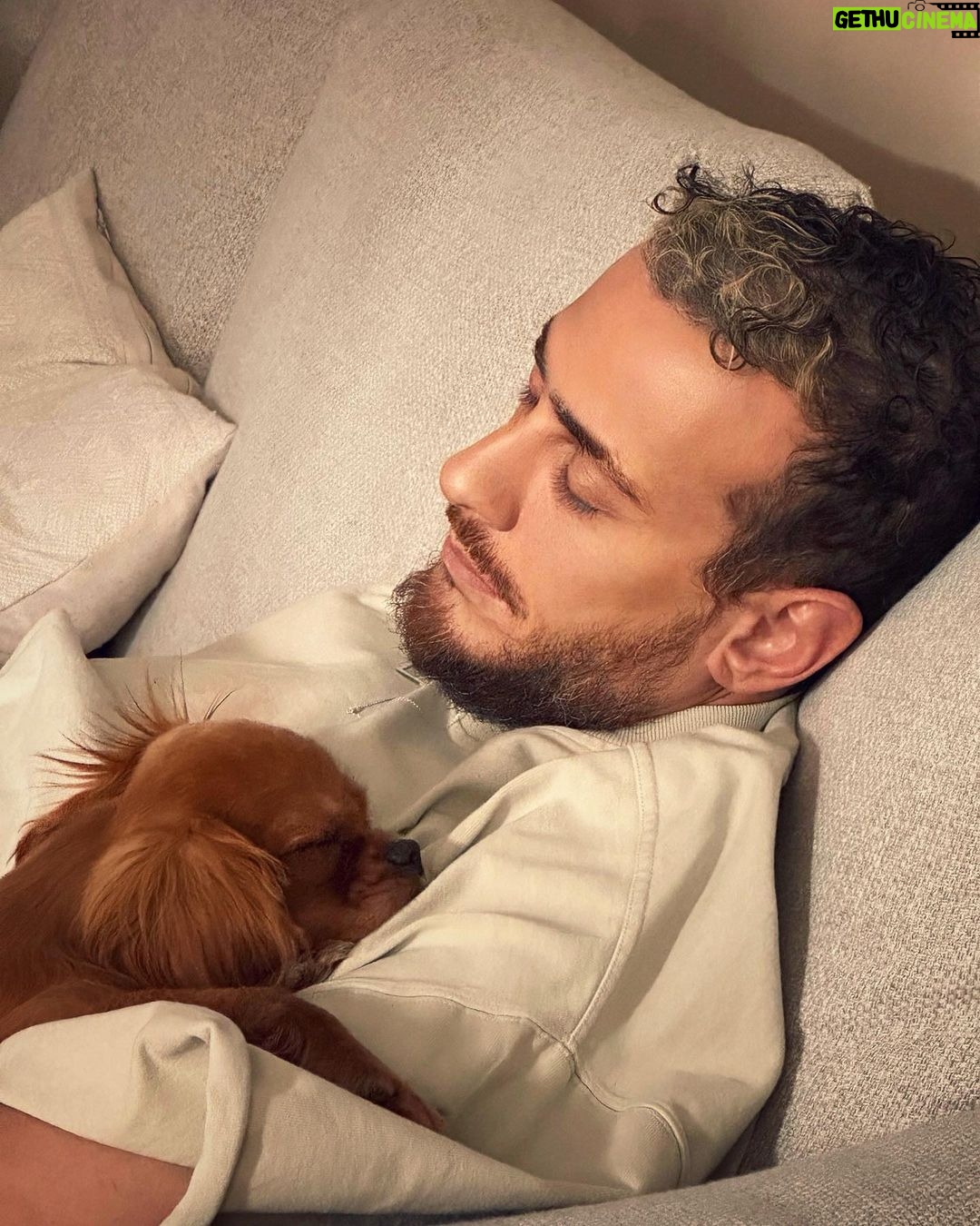 Saad Lamjarred Instagram - 🐶❤️ love leaves a memory #saadlamjarred1 #saadlamjarred #الله_يبارك_فعمر_سيدي #love_my_fans_forever_and_ever #love_my_parents_forever_and_ever #Lola