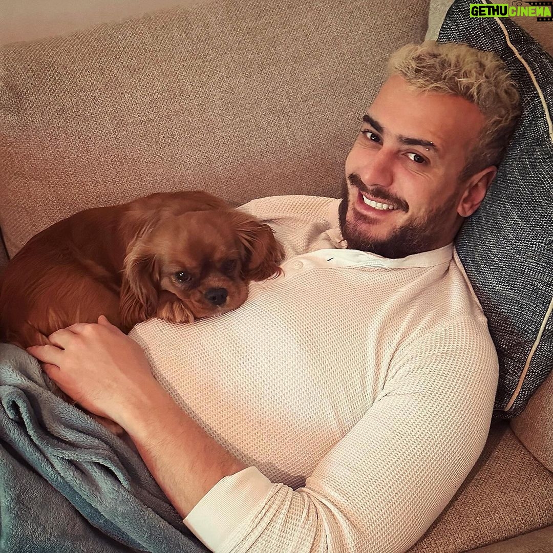Saad Lamjarred Instagram - "Chillin' with Lola for some family TV time. π©ββ€οΈβπ¨πΎπΊ #PuppyLove #QualityTime" #saadlamjarred1 #saadlmjarred #love_my_fans_forever_and_ever #love_my_parents_forever_and_ever