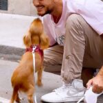 Saad Lamjarred Instagram - The love that Lola 🐶 gives us is truly incredible #saadlamjarred1 #shreyaghoshal #gulli_mata #gulli_mata_challenge #newmusic #lovesong #romanticsong #gulli_mata #gulli_mata_challenge #love_and_appreciate_your_parents #الله_يبارك_فعمر_سيدي #love_my_fans_forever_and_ever Paris, France
