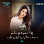 Saba Qamar Zaman Instagram - Pursuit of soulful love and kindness breaks all chains of mental social conditioning. It’s a beautiful tale of Ishq-e-Haqeeqi and social reflection. Pagal Khana coming soon to your TV screens! Writer & Director: Iqbal Hussain #SabaQamar #SyedJibran #SamiKhan #MashalKhan #MomalShaikh #FaizaGillani #JavedShaikh #OmairRana #Soniamishal #JonRambo #AdnanShahTipu #BabarAli #nida_mumtaz #sabafaisal #NadiaHussain #LailaZuberi #HumaNawab #SabaFaisal #HammadSiddiq #HassanShah #Toobaansari