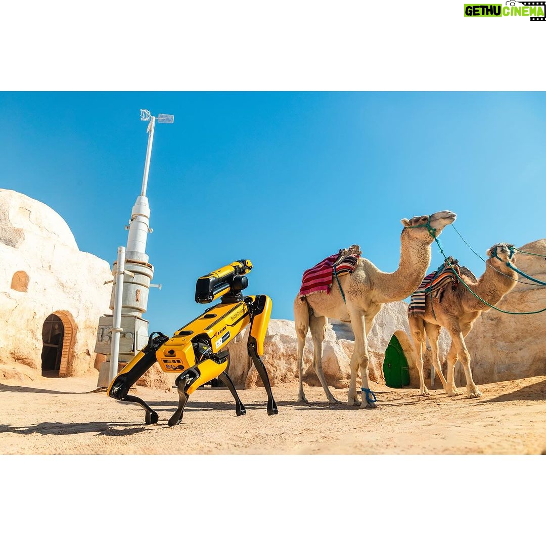Sadri Skander Instagram - Spot in Tunisia 🇹🇳 @hyundaitunisie