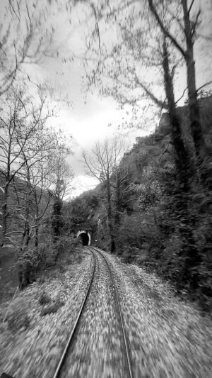 Safa Sarı Instagram - 🌺🌳🌲🚞🛤