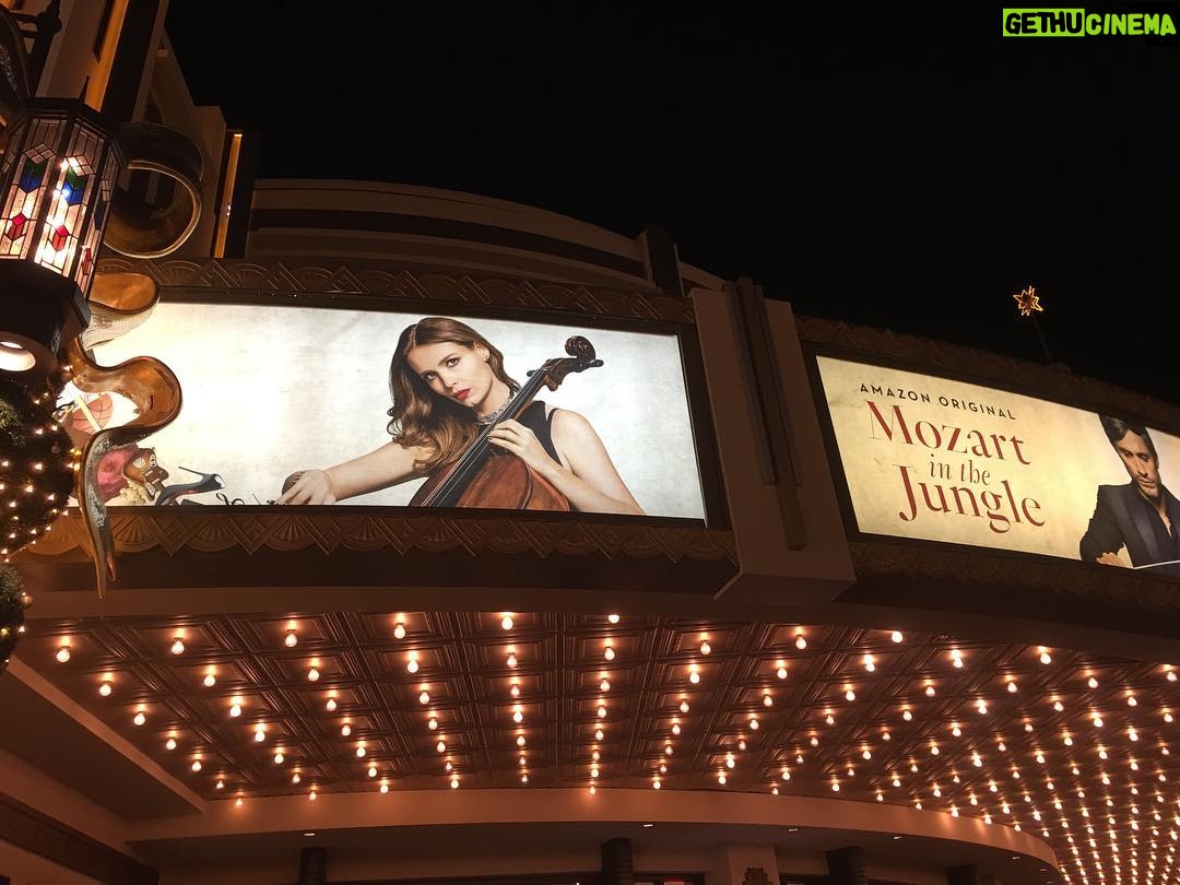 Saffron Burrows - 598 Likes - tonight we celebrated season 3... #mozartinthejungle @mitjamazon