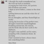 Saffron Burrows Instagram - #sleepingintheforest #maryoliver #earthday 🌍❤️ sent to me today by the wonderful @berwickl