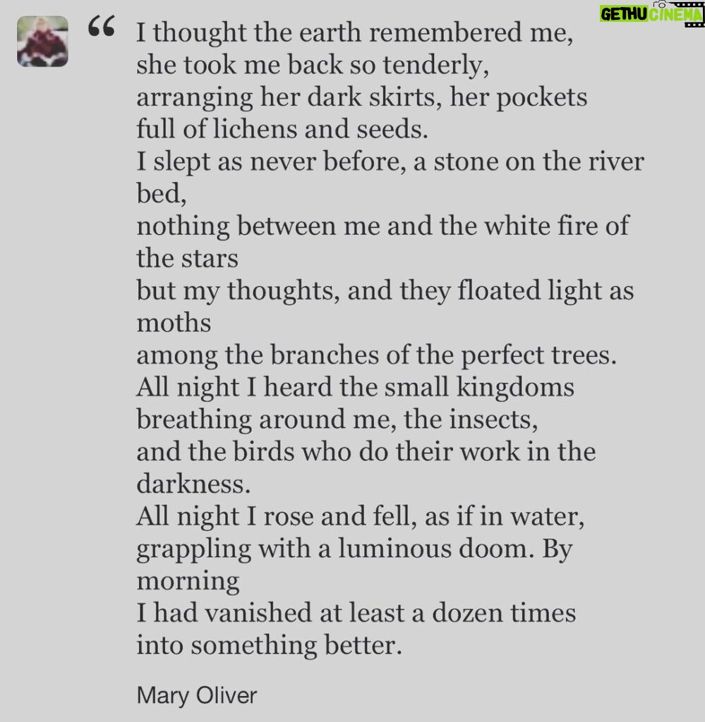 Saffron Burrows Instagram - #sleepingintheforest #maryoliver #earthday 🌍❤️ sent to me today by the wonderful @berwickl