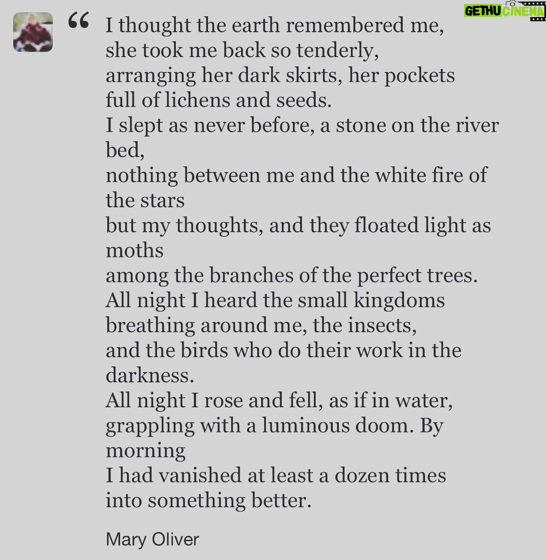 Saffron Burrows - 505 Likes - #sleepingintheforest #maryoliver #earthday 🌍❤️ sent to me today by the wonderful @berwickl