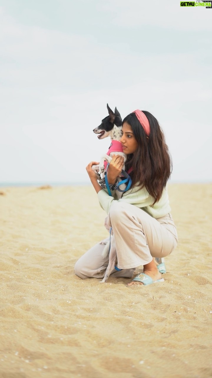 Sahana Sarvesh Instagram - #sirukoodu ♥️ Happy place :) Nisha, a very puny, weak, traumatised one month old pup showed up at our doorstep on Diwali in 2021. After being constantly attacked by multiple dogs and crackers, she was terrified to even lift her head up for about six months. It’s been 2 years now and she’s super happy and naughty at home but, the moment we take her out, her trauma rolls in and she’s constantly terrified. This was her second visit to the beach and she’s doing SO much better now :)))) Being around my babies is the happiest i can ever be, my happy place :) #adoptdontshop @sonymusic_south @darbukasiva @the.meethling @being.productions @asalkolaar Shot by @frames_arw Edit @cutscoffeestudio #dogsofinstagram #doglover #adoptdontshop #sirukoodu #sonymusic #sonymusicindia #dog #chennai #beach #puppylove #puppylife #animalsoverpeople
