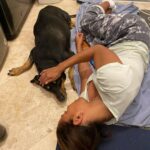Salli Richardson-Whitfield Instagram - Last night our beloved dog Cookie transitioned to doggy heaven. She was my favorite little baby. We will miss you cookie. #dogslife #bestfriend #happynationaldogday