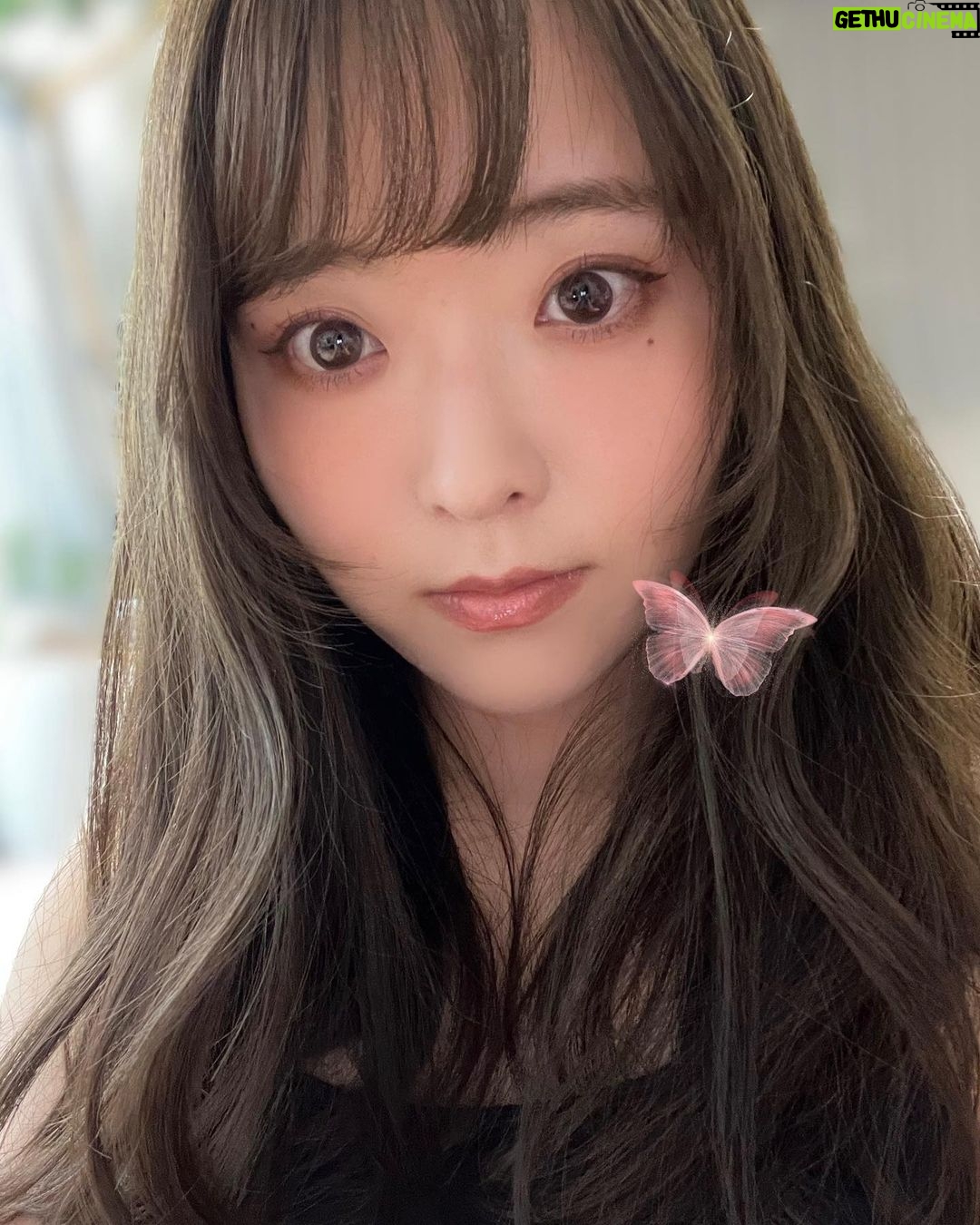 Sally Amaki - 5.1K Likes - 珍しく下まつ毛もマスカラ塗った〜
明日は大切な日なのでもう寝ます💃🏻
おやすみ😴