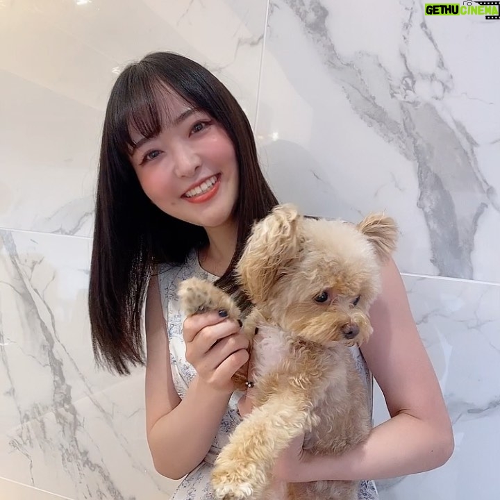 Sally Amaki - 5.3K Likes - 今日はお仕事前にMirareee Tokyoさんでカットとトリートメントしていただきました🥰今年大切なお仕事が控えているので、それに向けて髪の毛とか色々美容頑張ってます😭そのうち発表できるといいね〜🥰
.
ピノちゃんに初めてお会いしました😭ピノちゃん指名して予約もできるとか可愛すぎるwww