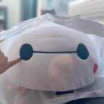 Sally Amaki Instagram - ゲーセン400円で取れた〜🥰 でも最初の一回は操作分からなくて失敗の一回だから自分的には200円で取ったことにする💃🏻