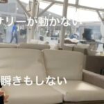 Sally Amaki Instagram - この間お友達が誕生日を祝ってくれました🥰みんなでBBQ🎉 . 海が見えるところだったはずなんですが、席から見えなくて「海？」ってなってたところを友達が撮ってましたw