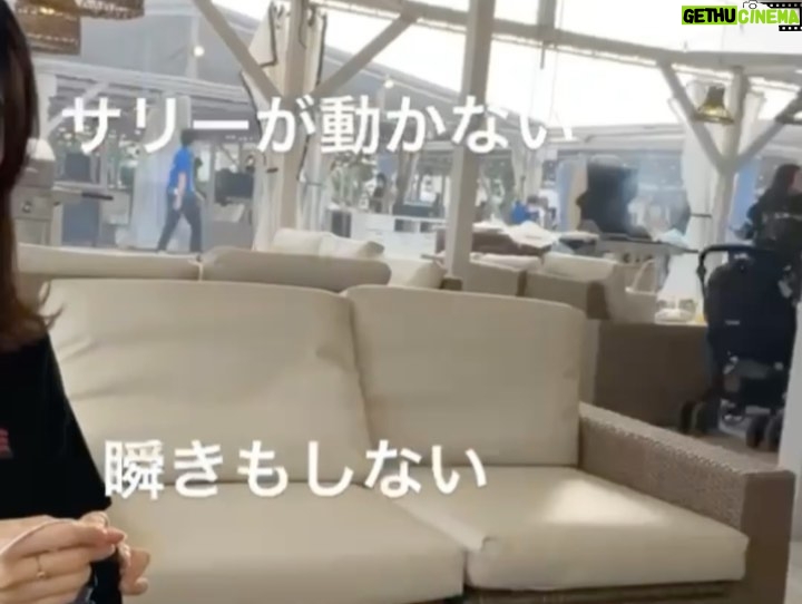 Sally Amaki - 4.9K Likes - この間お友達が誕生日を祝ってくれました🥰みんなでBBQ🎉
.
海が見えるところだったはずなんですが、席から見えなくて「海?」ってなってたところを友達が撮ってましたw