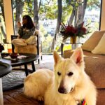 Salma Hayek Pinault Instagram - #owl #dog #sundayvibes