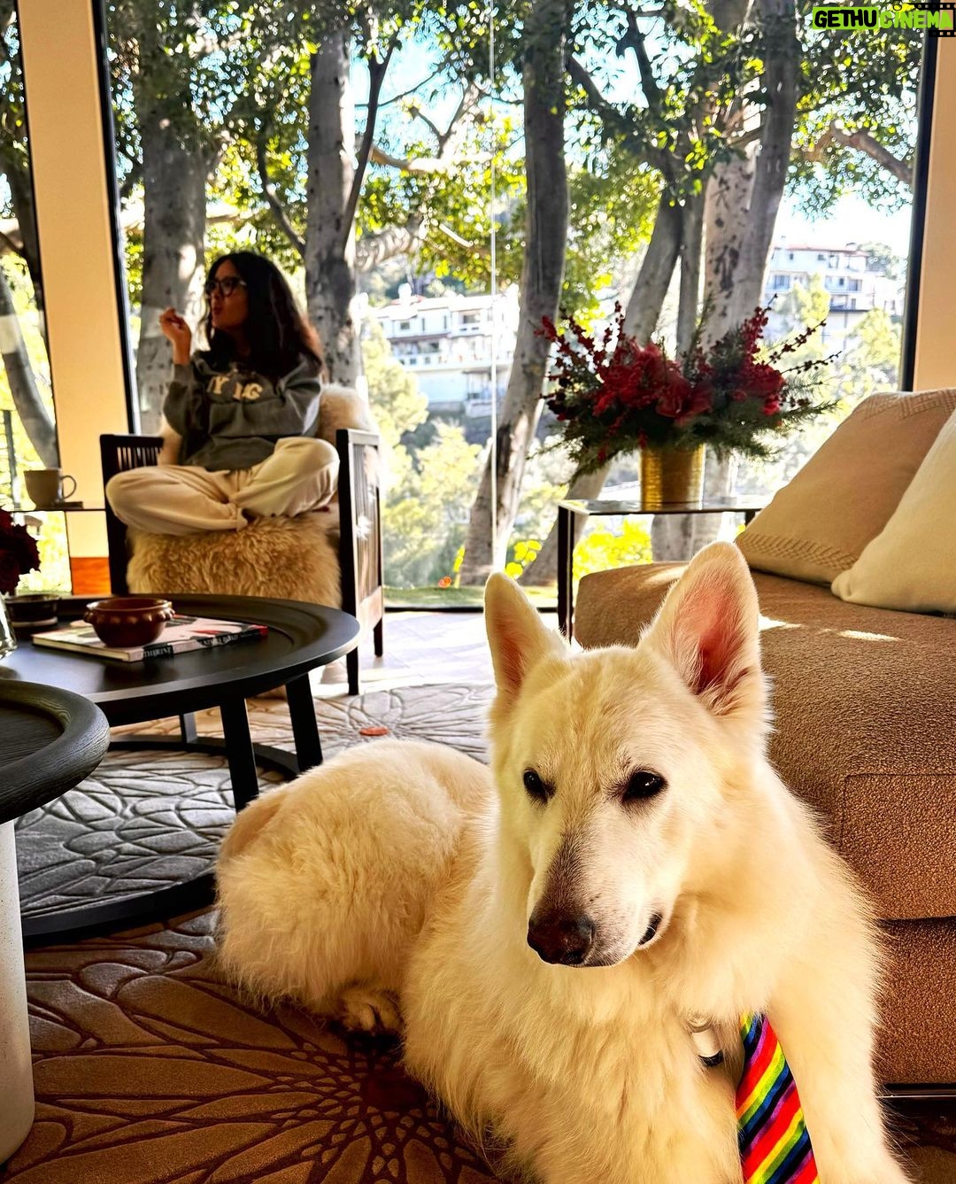Salma Hayek Pinault Instagram - #owl #dog #sundayvibes