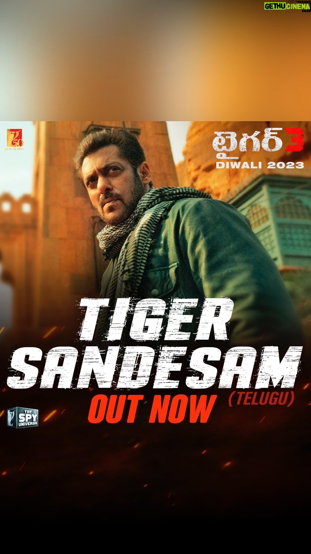 Salman Khan Instagram - టైగర్ చనిపోనంత వరకు, టైగర్ కి ఓటమి లేదు... #TigerSandesam #Tiger3… దీపావళి కి వస్తున్నాం. Tiger chaniponantha varaku, Tiger ki otami ledhu…. #TigerSandesam #Tiger3… Diwali ki vasthunnaam. @katrinakaif | #ManeeshSharma | @yrf | #YRF50 | #YRFSpyUniverse | #TigerKaMessage