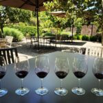 Samm Levine Instagram - I’m not having a glass of wine, I’m having six. It’s called a tasting, and it’s classy. #WhenInNapa #DoLikeRandyMarshDoes #IThoughtThisWasAmerica Update: The @louismmartiniwinery is phenomenal and BIG thanks to @dsakimae for the generous pours and laughs! Louis M. Martini Winery