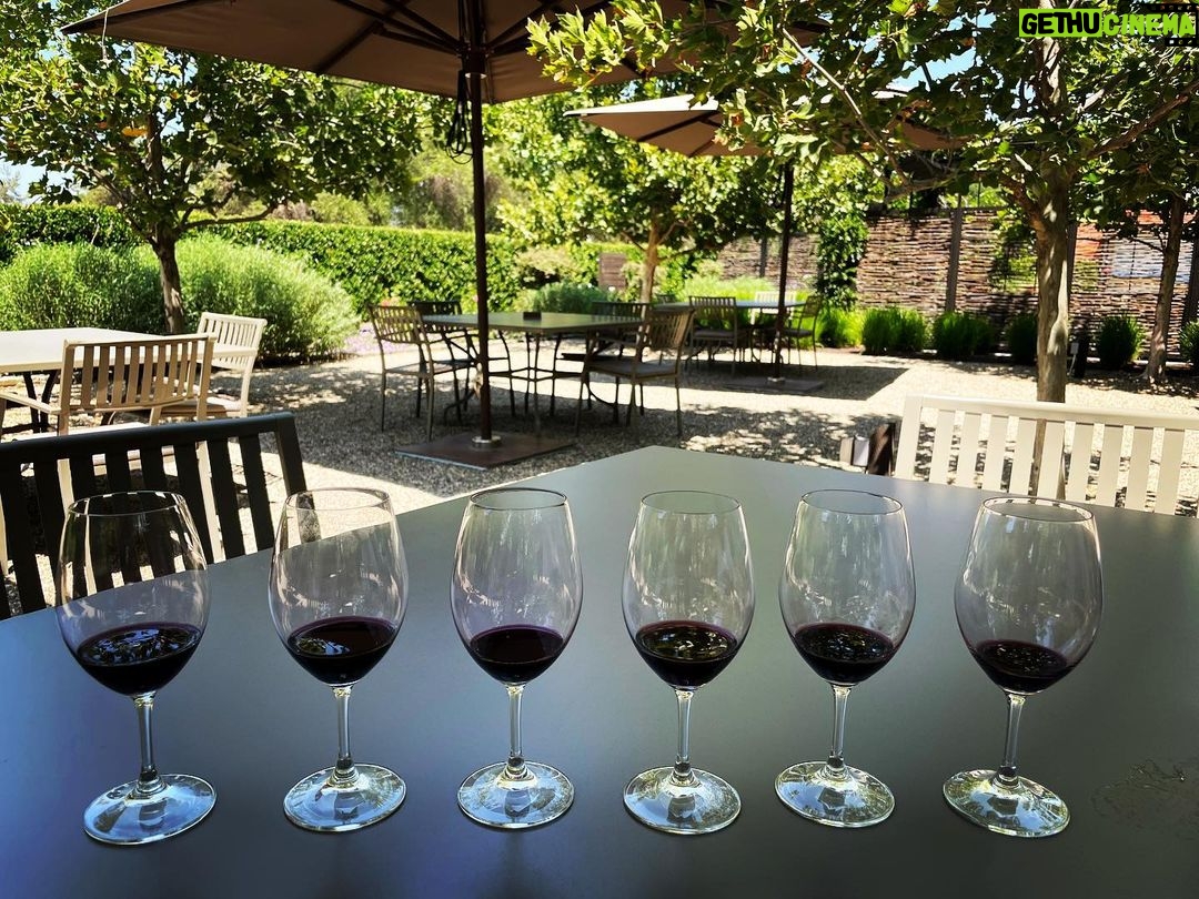 Samm Levine Instagram - I’m not having a glass of wine, I’m having six. It’s called a tasting, and it’s classy. #WhenInNapa #DoLikeRandyMarshDoes #IThoughtThisWasAmerica Update: The @louismmartiniwinery is phenomenal and BIG thanks to @dsakimae for the generous pours and laughs! Louis M. Martini Winery
