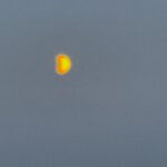Samuel L. Jackson Instagram - Surprise sight in the morning sky today.#lastdaysofptolemygrey#endalz#bloodmooneclipse