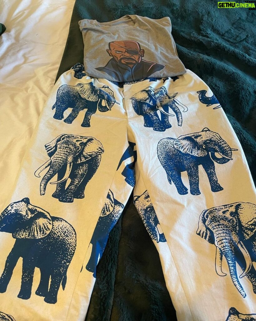 Samuel L. Jackson Instagram - Double Goodness, Wrap Day & World Elephant Day!! Had to break out my pachypants!!Fury chills, Doaker begins Monday👊🏾👊🏾#secretinvasion#thepianolessononbroadway#pachydermday