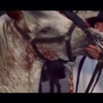 Samya Pascotto Instagram – Diário sábado dia 16 de dezembro de 2023.
1- alvaro de campos. Certeiro.
2- sex and the city, “sua garota é adorável hibbel”, e pra mim o verdadeiro fim que essa série deveria ter.
3 e 4- ainda nesse mesmo fim de temporada- “quietinha garota” – a domesticação vem a cavalo, e com buquês de flores. Cuidado.
5 – poema de Angélica Freitas.
6- abrigo para mulheres.
7- abrigo para corações em auto reparação.
8- Dramédia ternurinha “a procura do amor”. Tem na Star+
9- partir. E volta pro Álvaro de Campos, mas não exatamente.
.
#diario