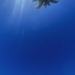Samya Pascotto Instagram - Bahia- dia 4- viver em legítima existência @moreiragiovanna um dia me surgiu dos céus com um artigo “ professions for women” da virginia woolf. Vc leu? Não tinha lido. Mal ela sabia do tamanho do anjo que havia matado e do tamanho do quarto que tenho pra decorar. Obrigada Gi. Obrigada Virgínia. E coragem no experimento.