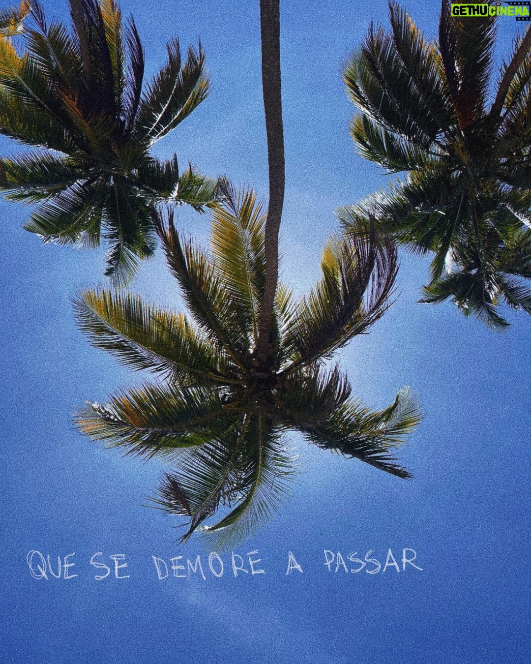 Samya Pascotto Instagram - Bahia- dia 3- a Bahia beija lento.