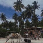Samya Pascotto Instagram – Bahia- dia 2- mó paz.