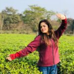Sanchari Mondal Instagram - কিচ্ছু চা-ইনি আমি ………. #teagarden #outing #sancharimondal