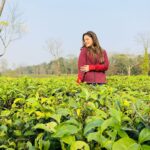 Sanchari Mondal Instagram - কিচ্ছু চা-ইনি আমি ………. #teagarden #outing #sancharimondal