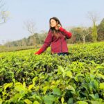 Sanchari Mondal Instagram - কিচ্ছু চা-ইনি আমি ………. #teagarden #outing #sancharimondal