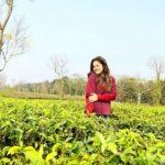 Sanchari Mondal Instagram - কিচ্ছু চা-ইনি আমি ………. #teagarden #outing #sancharimondal