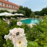 Sandra Parmová Instagram - Oáza klidu uprostřed nádherné přírody.🌾To je @chateau_bela, romantické sídlo na jižním Slovensku. ☀️🌸 Znáte? My z těchto chvilek a místa budeme ještě dlouho čerpat 👩🏼‍❤️‍👨🏽🥰 #tip #uzasnemisto #toskanskeleto #naslovensku #chateaubela #chateau #svatebnimisto #relax #slovensko #luxurydestination #hotel #odpocinek #rodice #natahu #happyme #summermenu #loveit #mustsee #dreamplace Hotel Château Bela