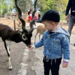 Sandra Parmová Instagram - 📍Zoo Györ #tipnavyletsdetmi Moc krásná interaktivní zoo, tak akorát velká, takže to i s menšími dětmi v pohodě zvládnete projít👌🏼 Krmení zvířátek všechny neskutečně bavilo a na nádherném hřišti se děti taky pořádně vyblbly. Z Brna jste tam za 2 hodinky 🚙, moc doporučujeme🤗❤️ #vylet #tip #tipprorodice #vyletsdetmi #zoo #zoogyor #madarsko #interaktivnizoo #dovca #zviratka #krmeni #nacestach #sdetmi #vsechnymojelasky #podleEmily @podle_emily @zoogyorofficial ZOO GYŐR