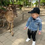 Sandra Parmová Instagram - 📍Zoo Györ #tipnavyletsdetmi Moc krásná interaktivní zoo, tak akorát velká, takže to i s menšími dětmi v pohodě zvládnete projít👌🏼 Krmení zvířátek všechny neskutečně bavilo a na nádherném hřišti se děti taky pořádně vyblbly. Z Brna jste tam za 2 hodinky 🚙, moc doporučujeme🤗❤️ #vylet #tip #tipprorodice #vyletsdetmi #zoo #zoogyor #madarsko #interaktivnizoo #dovca #zviratka #krmeni #nacestach #sdetmi #vsechnymojelasky #podleEmily @podle_emily @zoogyorofficial ZOO GYŐR