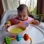 Sanem Yeles Instagram - Günlerdir heyecanla hazırlıklarında bulunduğumuz ilk ek gıda hadisesi ve hazin bir son 🥒🥒🥒#bademşekerim